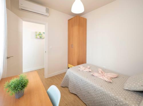 Apartamento Consistorial