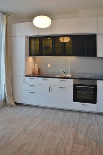 Apartm�n 1+1 V Centru ?esk� L�py, 2.patro