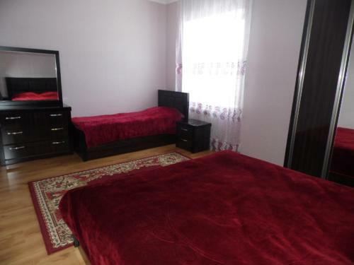 Hotel Lasha-giorgi