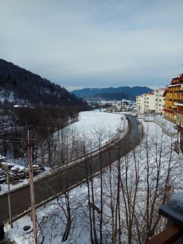 Apartments In Bakuriani On Didveli