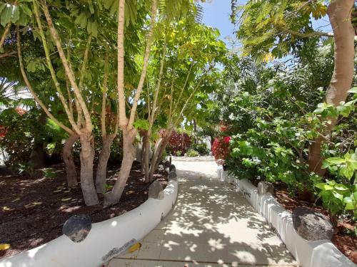 Apartamento �tico Parque Don Jos� 382