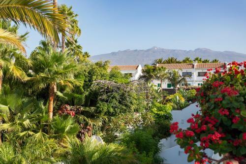 Home2book Charming Apartment Costa Del Silencio