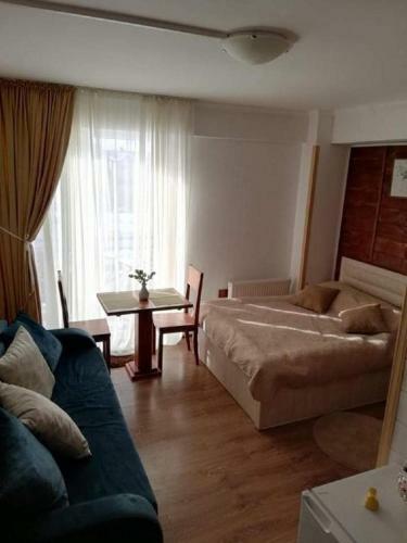 Apartamento Bakuriani Mgzavrebi Studio 5