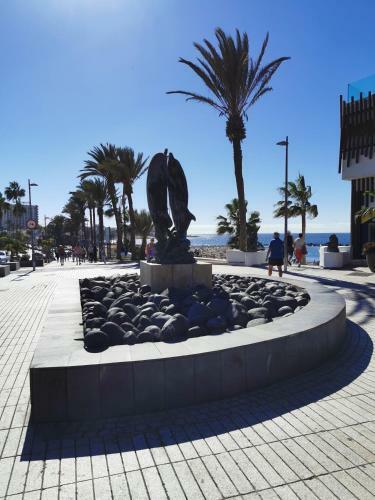 Apartamento Cataleya Home