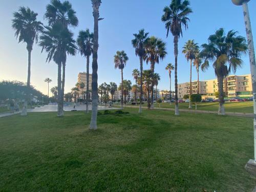 Apartamento Isola Verde