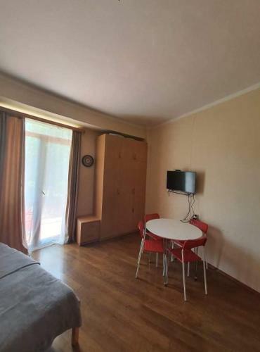 1 Studio Room Apartment In Bakuriani