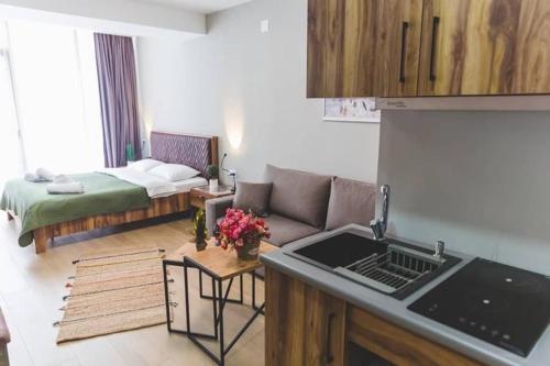 Bakuriani Didveli Gallery Apartment B203