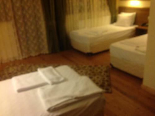 Rhebas Hotel