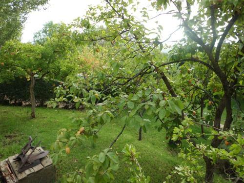 Apartamentos Baeza Rn