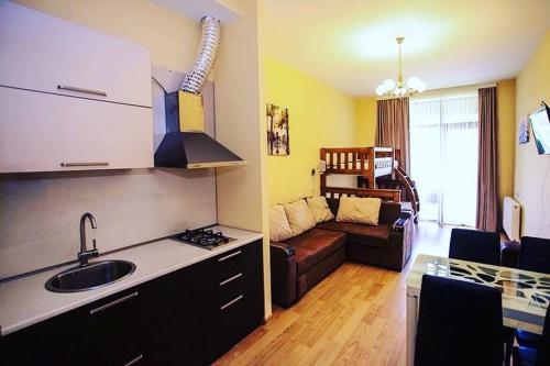 Bakuriani City Apartment N 506