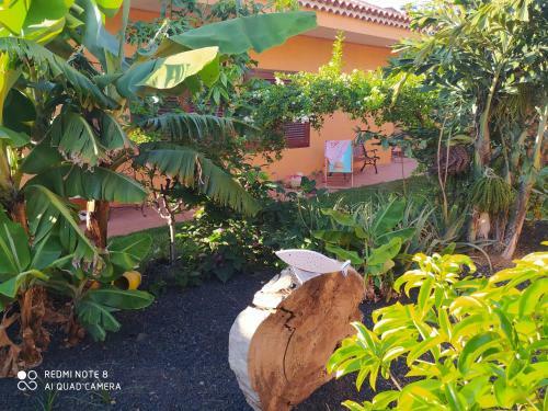 Apartamento Energy Garden