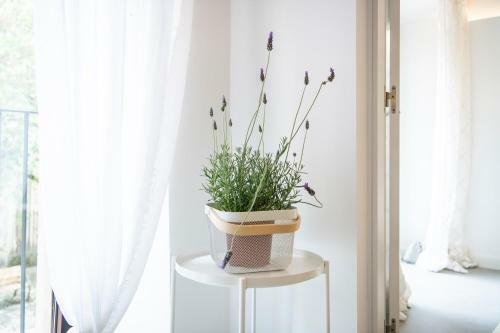 Apartamentos Tur�sticos Can Planeses Banyoles
