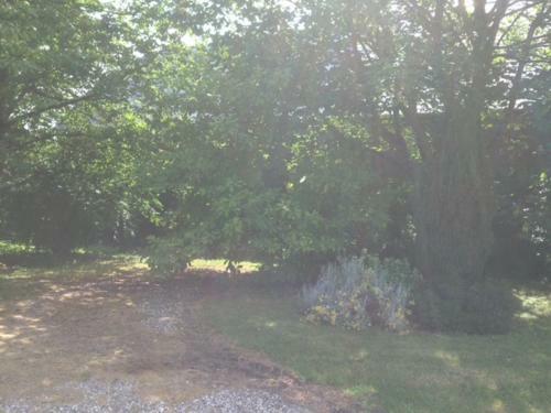 Grisa'home Le G�te