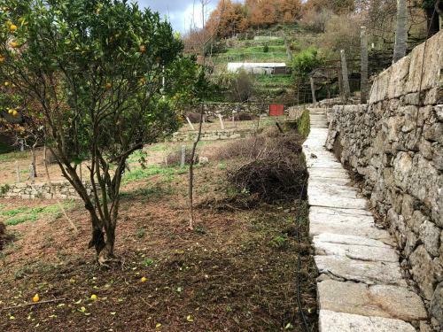 Quinta Do Souto Barciademera