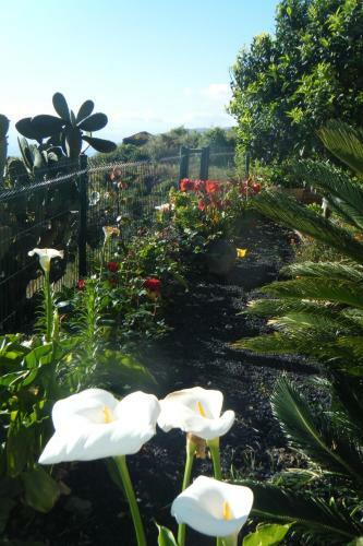 Agroturismo Casa Rural La Florida
