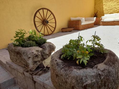 Casa Rural Del T�o Maino