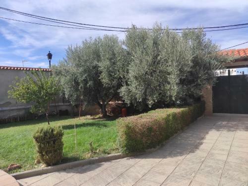 Villa Joropillo - Full House Rent