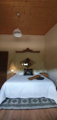 La Capellan�a