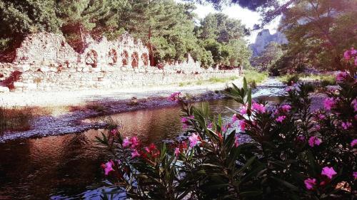 Hostal Olympos Deep Green Bungalows