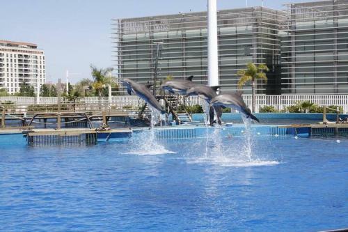 Apartamento Les Valls Ref 039