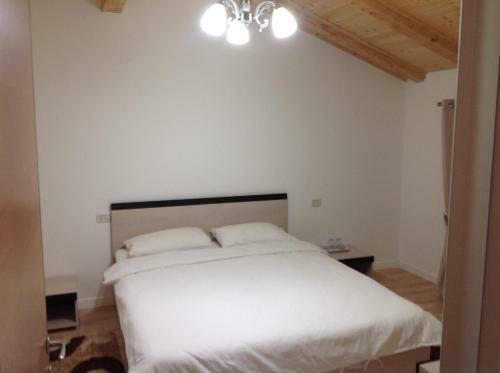 Hostal Pensiunea Alexandra Livia