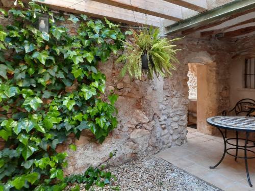 Agroturismo Casa Font