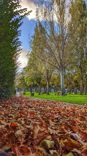 Apartamento Tur�stico Izokin