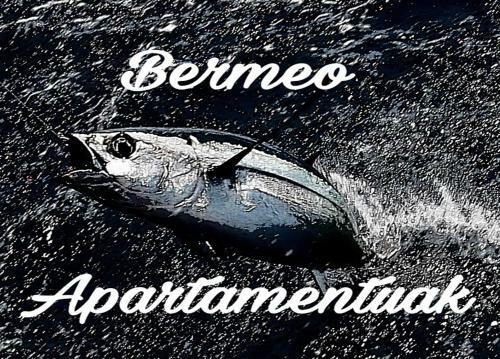 Apartamentos-bermeo