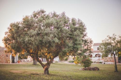 Bed & Breakfast Casa Alba Benissa - Boutique Stay