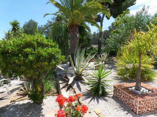 Apartamento Villa Senomar
