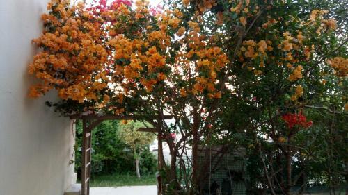Apartamento Happy House Ennasr