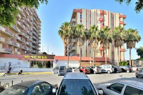 Apartamento Estudio Minerva 241