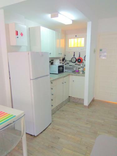 Apartamento Estudio Minerva 241