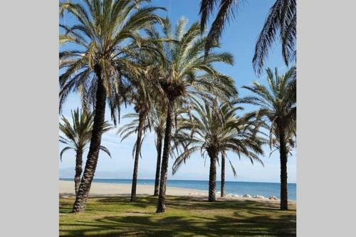Apartamento Minerva Jupiter. The Perfect Accommodation For Your Vacation