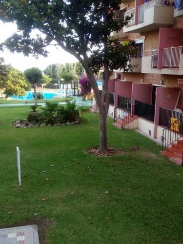 Apartamentos Minerva Jc