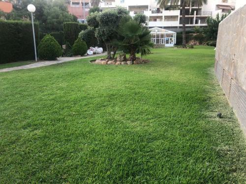 Apartamentos Real Torrequebrada