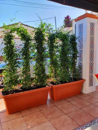 Hostal Benalmadena Costa