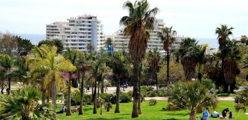 Apartamento Estudio Deluxe Benalbeach