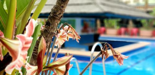 Apartamento Estudio Deluxe Benalbeach
