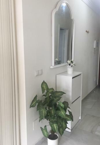 Apartamentos Puerto Marina