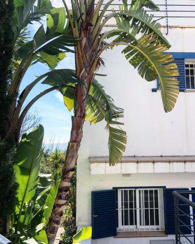 Apartamento Arcadia