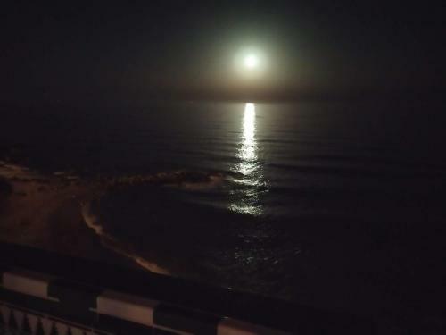 Apartamento En Playa Semi-privada