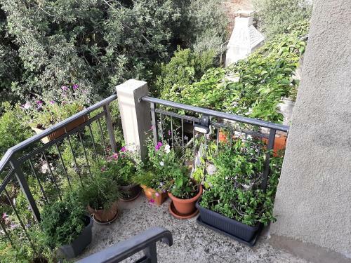 Dubrovnik Apartment Nepe