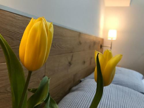 Hostal Penzion Biely Potok