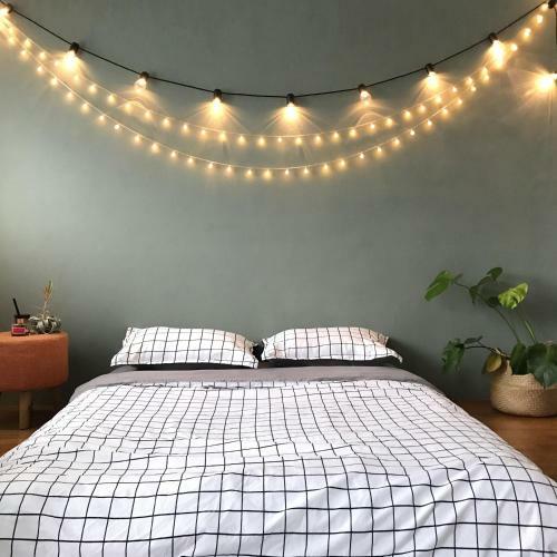Hostal With Plants Inn