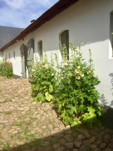 Bed & Breakfast �keslund