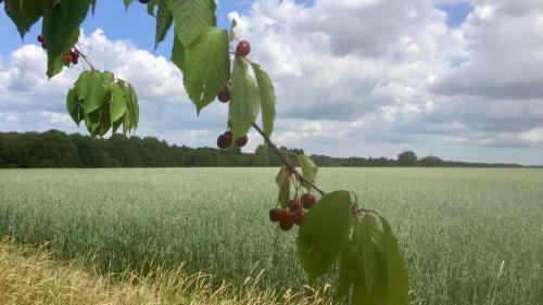 Bed & Breakfast �keslund
