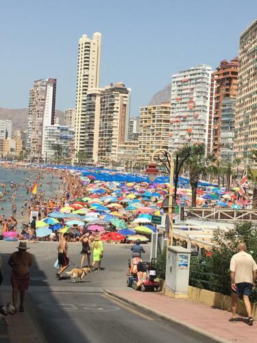 Apartamento La Siesta D24