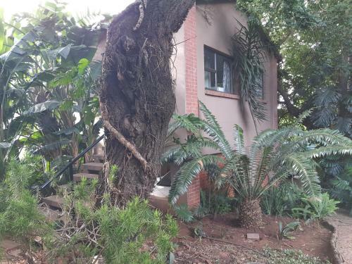 Apartamento The Crooked Forest