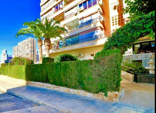 Apartamento Piscis Of The Sea Benidorm
